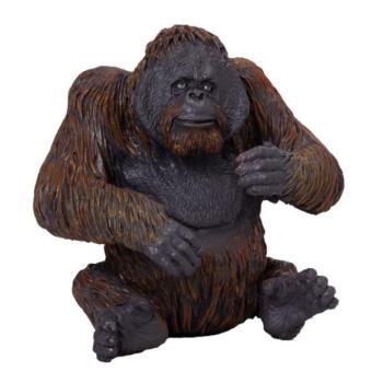 Az én orangutánom kép