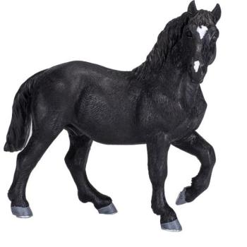 Az én Percheron lovam kép
