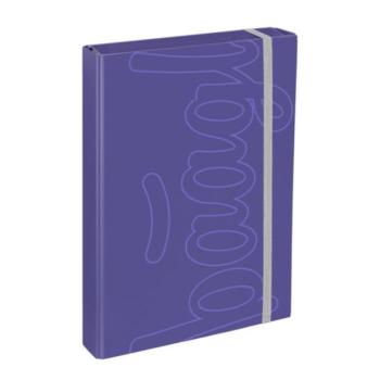 BAAGL Iskolai füzetek mappája A4 Jumbo Dual kép