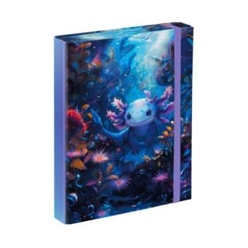 BAAGL Iskolai füzetek mappája A5 Axolotl kép