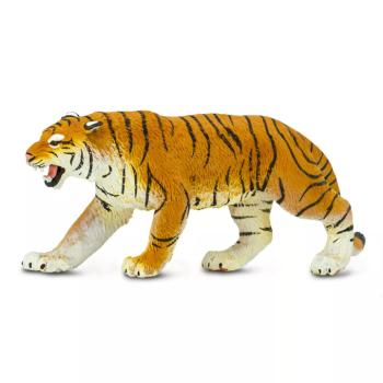 Bengáli tigris kép