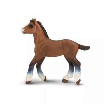 Clydesdale csikó kép