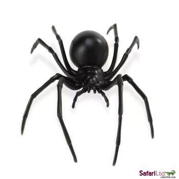 Fekete özvegy kép