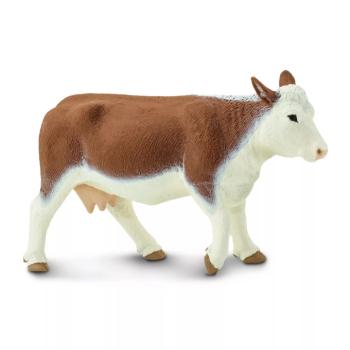 Figura - Hereford tehén kép
