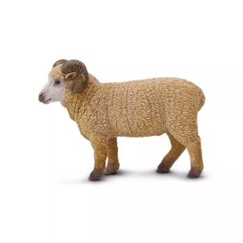 Figura - Kos kép