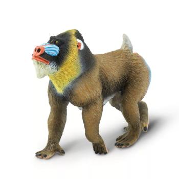 Figura - Mandrill orrszarvú kép