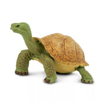 Figura - Óriás teknős kép