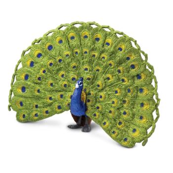 Figura - Páva kép