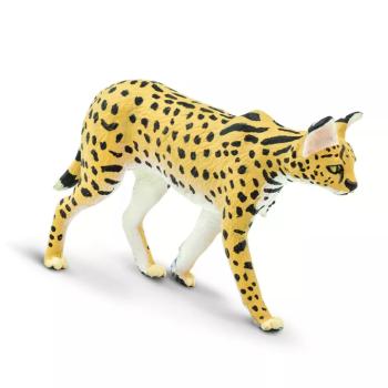 Figura - Szervál kép