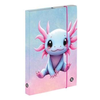 Füzetbox A4 Axolotl kép