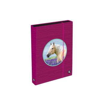 Füzetbox A4 Jumbo OXY Sherpy Pink kép