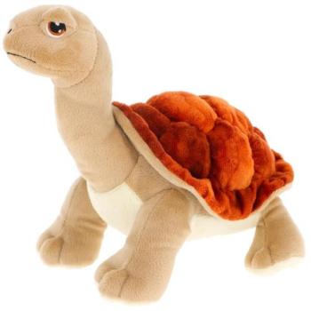 Galápagosi teknős 25 cm kép