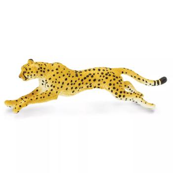 Gepard kép