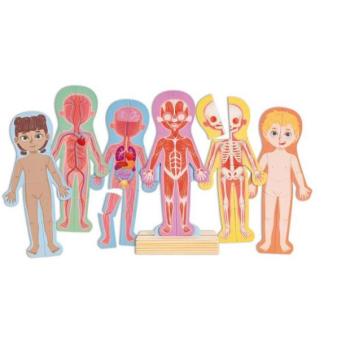 Hape Mágneses puzzle - Emberi test kép
