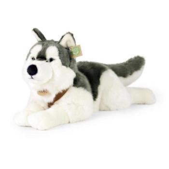 Husky plüss kutya nyakörvvel fekvő 60 cm KÖRNYEZETBARÁT
