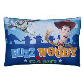 Ilanit gyerek kispárna WD Toy Story 14124 kék kép