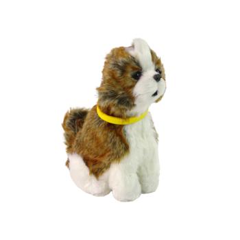 Interaktív Shih-tzu kutya kép