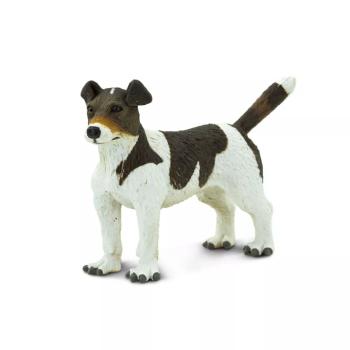 Jack Russel terrier kép