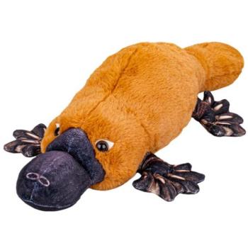 Kacsacsőrű emlős plüss 50cm fekvő kép