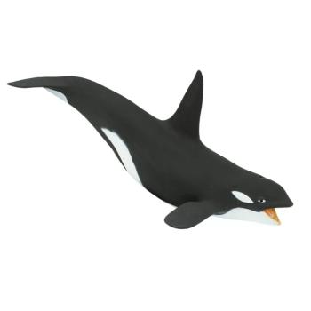 Kardszárnyú delfin kép
