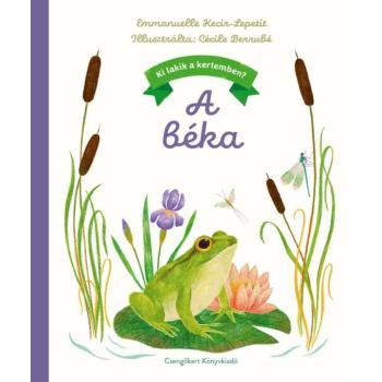 Ki lakik a kertemben? – A béka