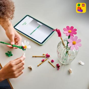 LEGO Botanicals 11514 Pillangóvirágok kép