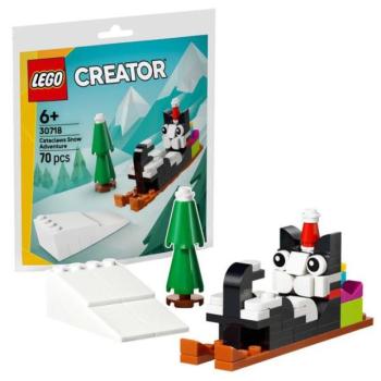 LEGO® Creator 30718 Havas kaland Hópihével kép