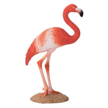 Mojo amerikai flamingó kép