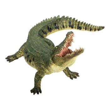 Mojo Crocodile, csuklós állkapocs