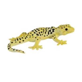 Mojo Gekon Leopárd. kép