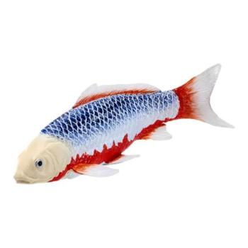 Mojo Kapor koi asagi kép