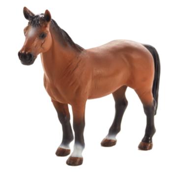 Mojo trakehner ló kép