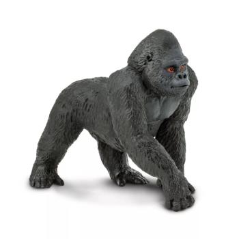 Nyugati gorilla kép