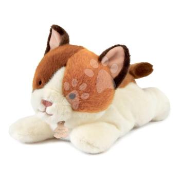 Plüss cica nehéz pocakkal P'tit Relax Cat Histoire d’ Ours barnás-fehér 30 cm 0 hó-tól kép