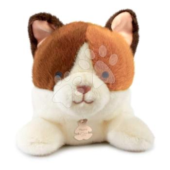 Plüss cica nehéz pocakkal P'tit Relax Cat Histoire d’ Ours fehér-barna 22 cm 0 hó-tól kép