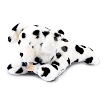 Plüss dalmata kutyus nehéz pocakkal P'tit Relax Dalmatian Histoire d’ Ours fekete-fehér 22 cm 0 hó-tól kép