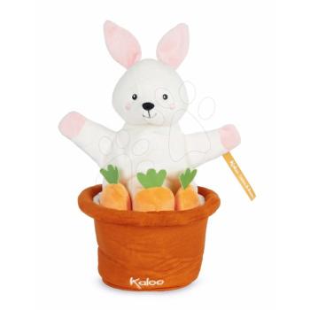 Plüss nyuszi kesztyűbáb Robin Rabbit Kachoo Kaloo meglepetés a virágtartóban 25 cm legkiebbeknek 0 hó-tól kép