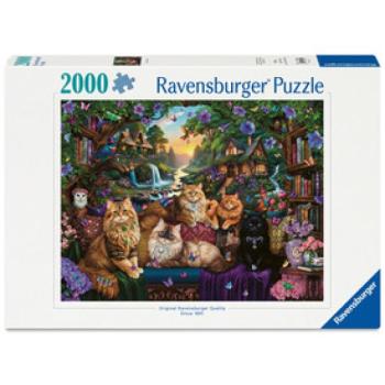 Puzzle 2000 db - Cicaházikó kép