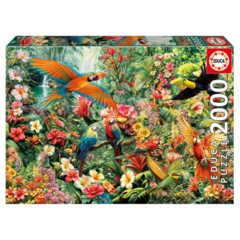 Puzzle Amazon Birds Educa 2000 darabos és Fix ragasztó kép