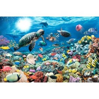Ravensburger: Puzzle 5 000 db - Tengeri élet kép