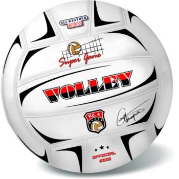 Röplabda VOLLEY CHAMPIONS (250g) - felfújás nélküli 21 cm kép