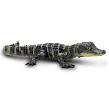 Safari® Aligátor kölyök kép
