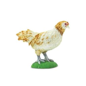 Safari® Ameraucana tyúk kép