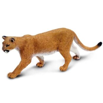 Safari® Amerikai puma kép