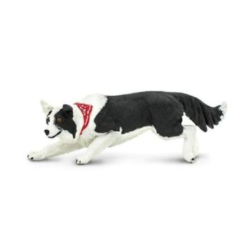 Safari® Border Collie kép