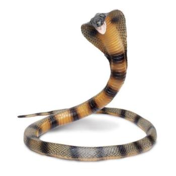Safari® Cobra kép