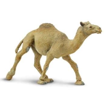 Safari® Egyptei dromedár kép
