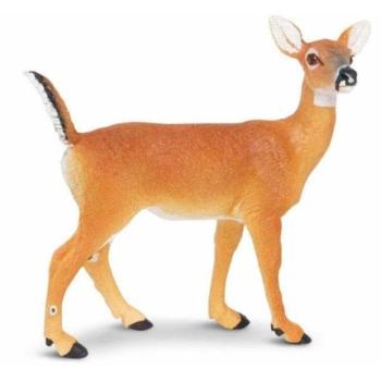 Safari® Fehérfarkú szarvasünő kép