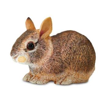 Safari® Floridai nyúl kölyök kép