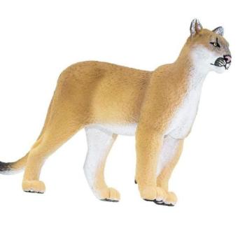 Safari® Floridai puma kép